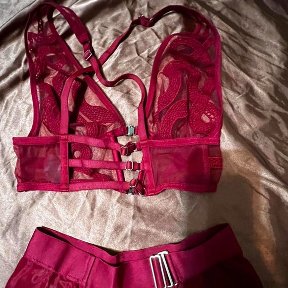 Elegant Lace Burgundy Bra - Picture 5 of 7